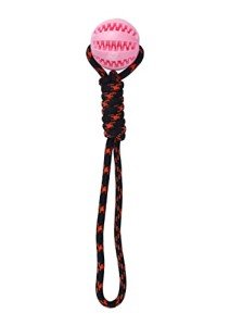 HENBRANDT Interactive Pink Dog Ball with Rope