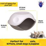 Weatherproof Pet Kennel House for Indoor & Outdoor