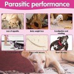 Natural Flea & Tick Chews for Dogs - 120 pcs