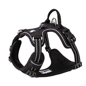 True Love Adjustable No-Pull Dog Harness, Black