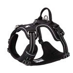 True Love Adjustable No-Pull Dog Harness, Black