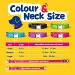 Custom Engraved Reflective Dog Collar in Various Sizes