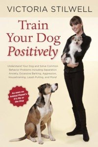 Positive Training for Common Dog Behavior Issues