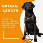 Deluxe Brown Slip Lead for Dogs - Super Soft
