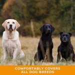 Deluxe Brown Slip Lead for Dogs - Super Soft