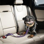 Adjustable Dog Seat Belt with Anti-Shock Bungee