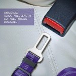 Adjustable Dog Seat Belt with Anti-Shock Bungee