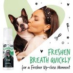 Bugalugs Natural Dog Breath Freshener Foam 210ml