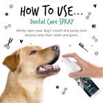 Bugalugs Natural Dog Breath Freshener Foam 210ml