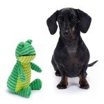 Zappi Co Green Frog Plush Dog Toy with Squeaker