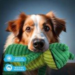 Zappi Co Green Frog Plush Dog Toy with Squeaker