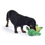 Zappi Co Green Frog Plush Dog Toy with Squeaker
