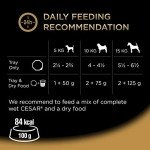 Cesar Country Stew Adult Wet Dog Food Pack