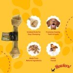 Lemon Squeezer for Juicing and Cooking Needs