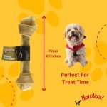 Lemon Squeezer for Juicing and Cooking Needs