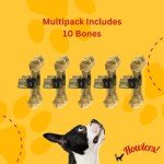 Lemon Squeezer for Juicing and Cooking Needs