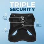 Voyager Step-in Air Dog Harness for Small Dogs