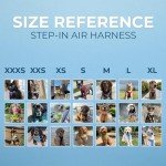 Voyager Step-in Air Dog Harness for Small Dogs