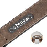 Personalized Leather Padded Dog Collar with Nameplate