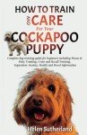 Cockapoo Puppy Training & Care Guide for Beginners