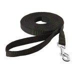 HAPPY HACHI 10m Nylon Dog Training Leash