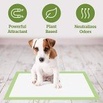 Pogi's Earth-Friendly Extra Large Training Pads