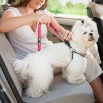 Adjustable Headrest Dog Car Seat Belt - 2 Pack