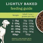 Forthglade Grain-Free Lamb & Sweet Potato Dog Food