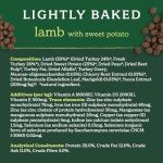Forthglade Grain-Free Lamb & Sweet Potato Dog Food