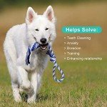 Durable Interactive Chew Toys for Aggressive Dogs