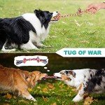 Durable Interactive Chew Toys for Aggressive Dogs