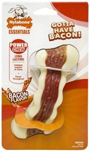 Nylabone Bacon Chew Toy for Active Dogs