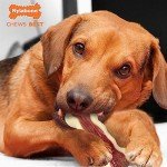 Nylabone Bacon Chew Toy for Active Dogs