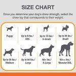 Nylabone Bacon Chew Toy for Active Dogs