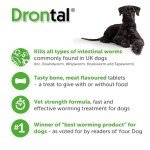 Drontal Plus XL Flavored Dog Wormer Tablet
