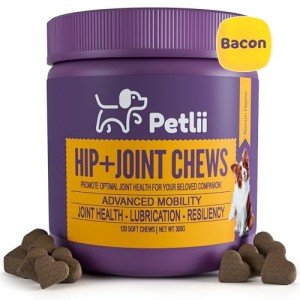 Hip and Joint Chews for Dogs - 120 Count