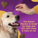 Hip and Joint Chews for Dogs - 120 Count