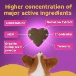 Hip and Joint Chews for Dogs - 120 Count