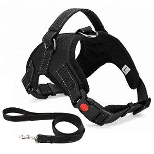 Adjustable No-Pull Dog Harness with Lead - Black