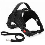 Adjustable No-Pull Dog Harness with Lead - Black