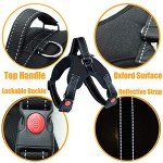 Adjustable No-Pull Dog Harness with Lead - Black