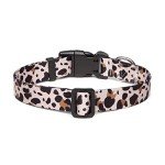 Mercano Adjustable Leopard Dog Collar for All Sizes