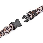 Mercano Adjustable Leopard Dog Collar for All Sizes