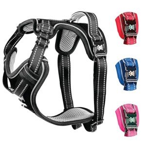 Premium Adjustable Dog Harness with Metal Buckle