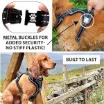Premium Adjustable Dog Harness with Metal Buckle