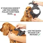 Premium Adjustable Dog Harness with Metal Buckle