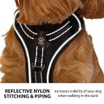 Premium Adjustable Dog Harness with Metal Buckle
