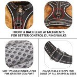 Premium Adjustable Dog Harness with Metal Buckle
