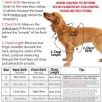 Premium Adjustable Dog Harness with Metal Buckle