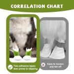 Waterproof Disposable Dog Boots - 20 Pack